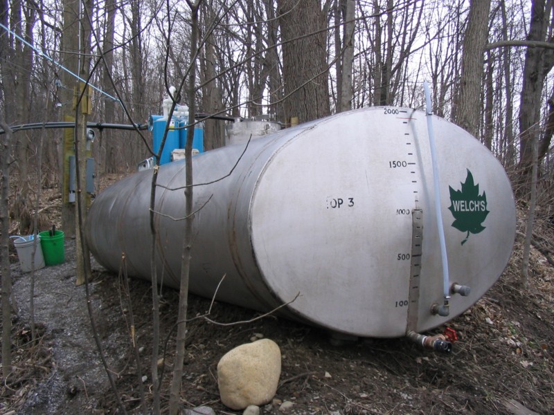 welchs maple syrup pictures